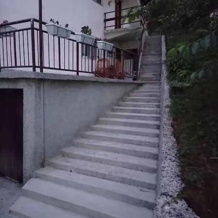 Mujo * Sarajevo